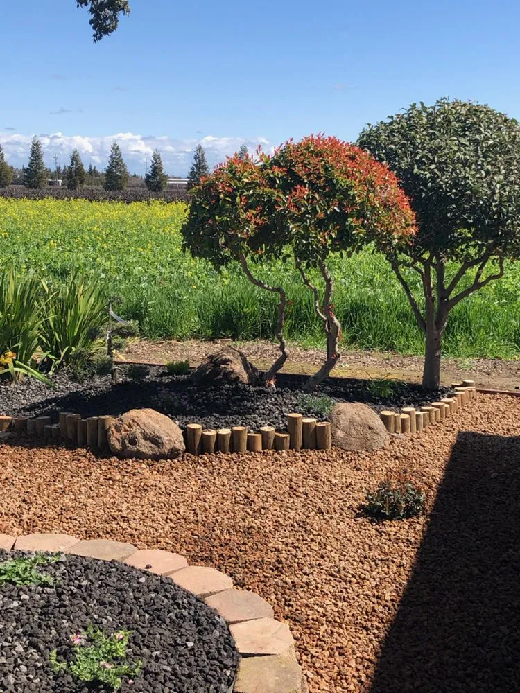 Trusted residential landscaping for homes across Elk Grove, CA - QV Landscaping & Maintenance