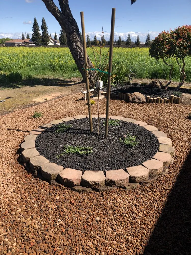 Top-rated yard cleanup service experts serving Elk Grove, CA - QV Landscaping & Maintenance