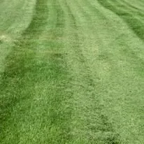 Expert residential landscaping in Chicago, IL - QV Landscaping & Snow Removal