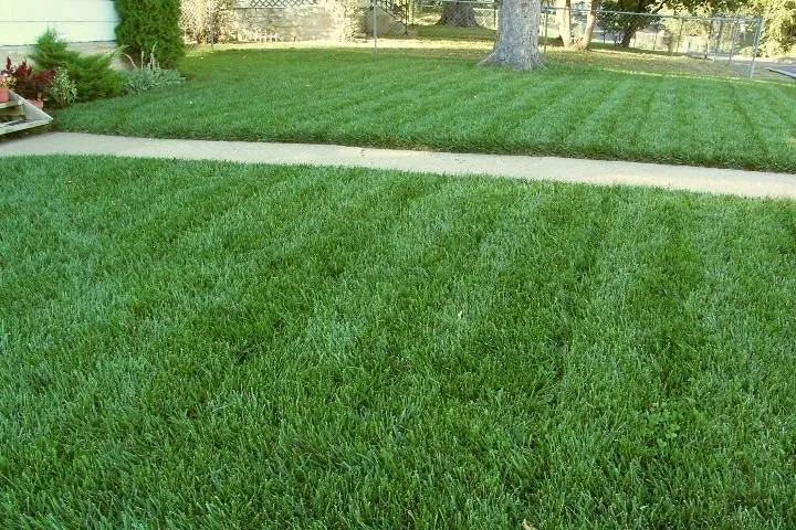 Professional yard maintenance experts serving Chicago, IL - QV Landscaping & Snow Removal