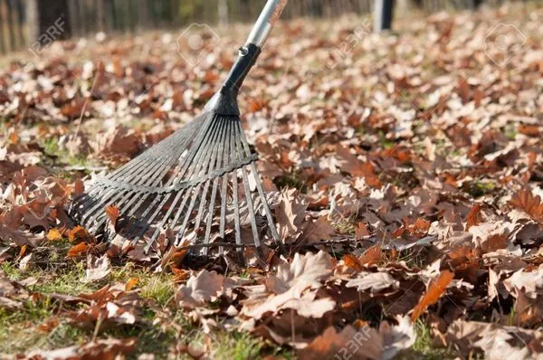 QV Landscaping & Snow Removal Logo