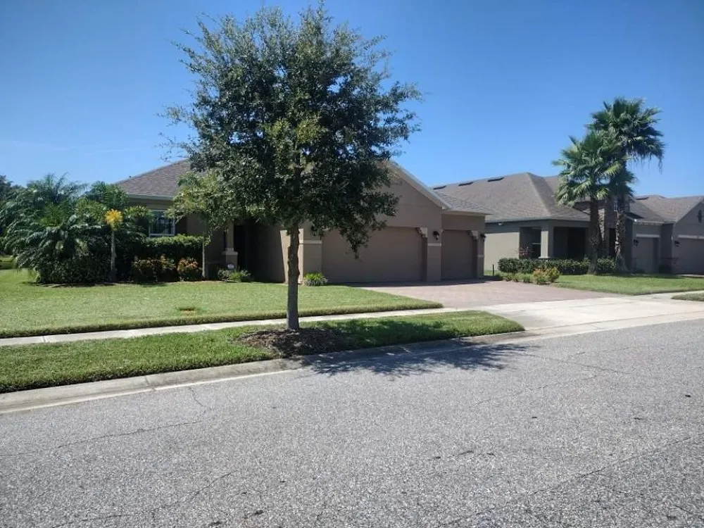 Affordable landscape installation in Orlando, FL by R & A Greenscapes