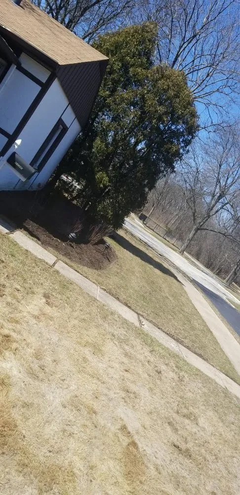 Local lawn care service in Round Lake Heights, IL - R & A Landscaping Services