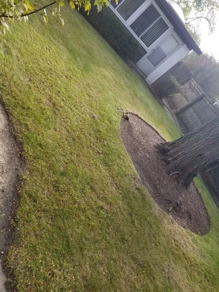 Top-rated landscaping services for year-round maintenance across Round Lake Heights, IL - R & A Landscaping Services