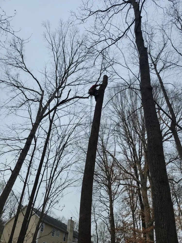 Local lawn mowing service for homes in Toccoa, GA by R & A Tree Service