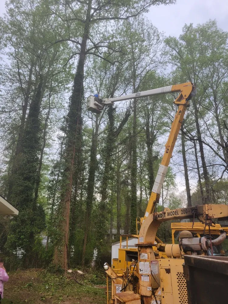Trusted landscape installation in Toccoa, GA - R & A Tree Service
