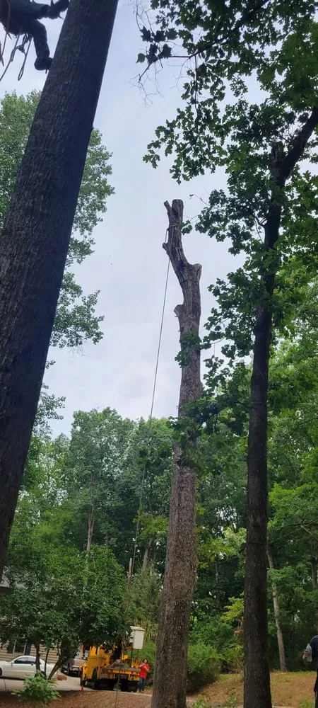 Top-rated landscape installation experts serving Toccoa, GA - R & A Tree Service