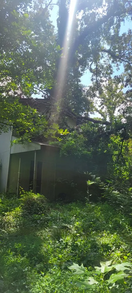 Reliable outdoor landscaping experts serving Toccoa, GA - R & A Tree Service