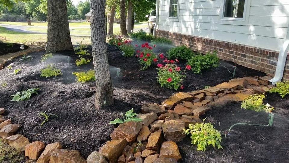 Professional yard maintenance for residential properties across Meridian, MS - R & C Landscape & Lawn Service