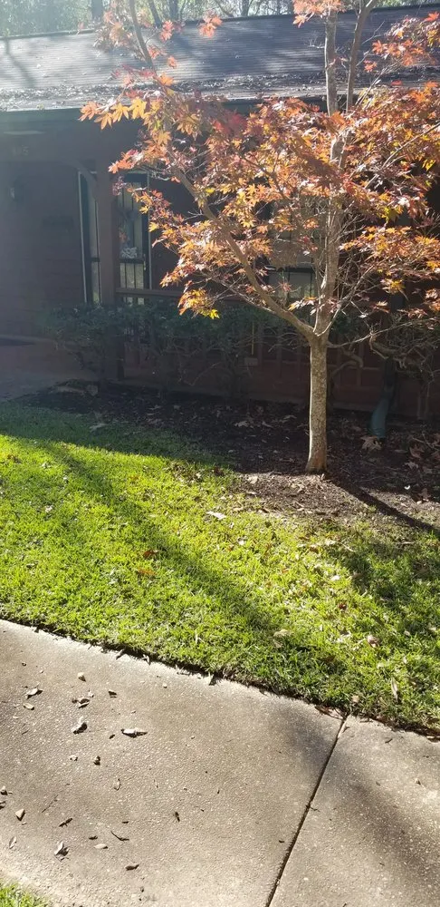 Trusted residential landscaping experts serving Meridian, MS - R & C Landscape & Lawn Service