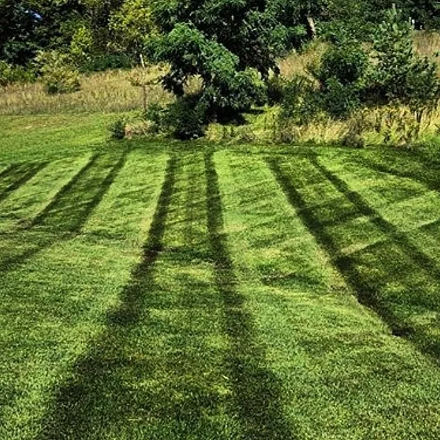 Top-rated garden landscaping near you in Meridian, MS by R & C Landscape & Lawn Service