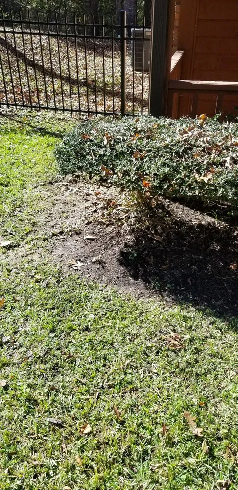 Expert landscape design for beautiful yards across Meridian, MS - R & C Landscape & Lawn Service