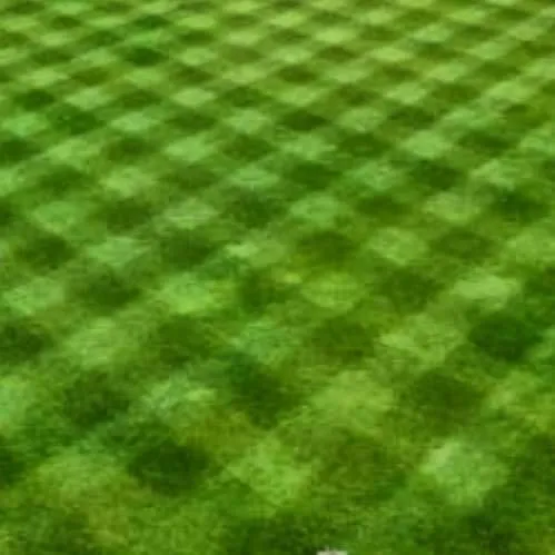 Affordable yard cleanup service for year-round maintenance across Meridian, MS - R & C Landscape & Lawn Service