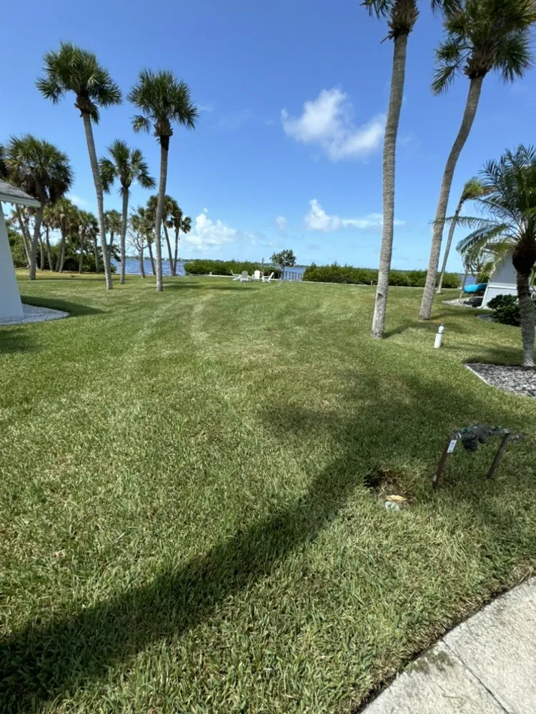 Custom yard cleanup service experts serving Sarasota, FL - R & C Landscaping of FL