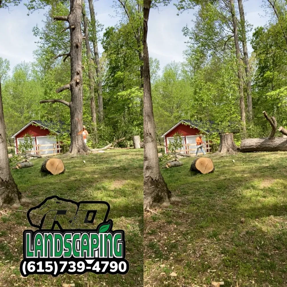 Trusted lawn care service near you across Springfield, TN - R & D Landscaping