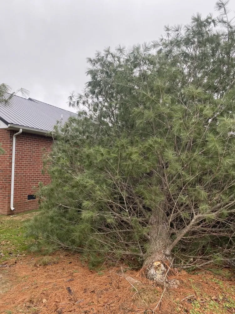 Trusted residential landscaping in Springfield, TN - R & D Landscaping