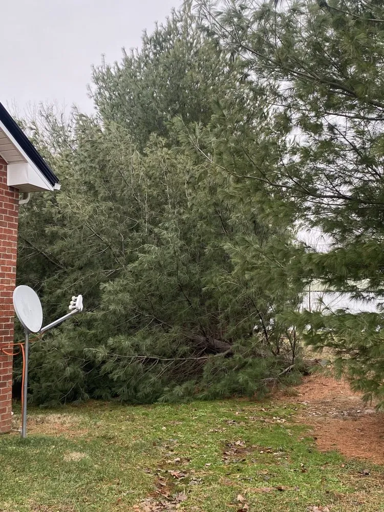 Local outdoor landscaping in Springfield, TN by R & D Landscaping