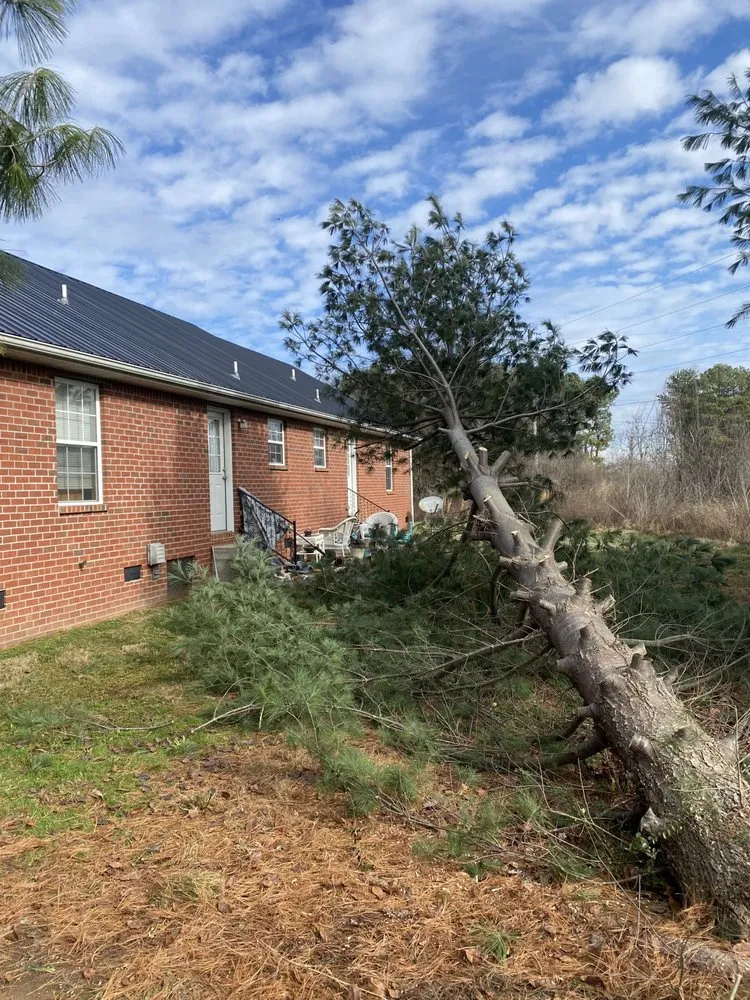 Expert landscaping services for beautiful yards in Springfield, TN by R & D Landscaping