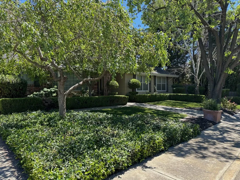 Reliable lawn mowing service for year-round maintenance in Turlock, CA by R & D Landscaping