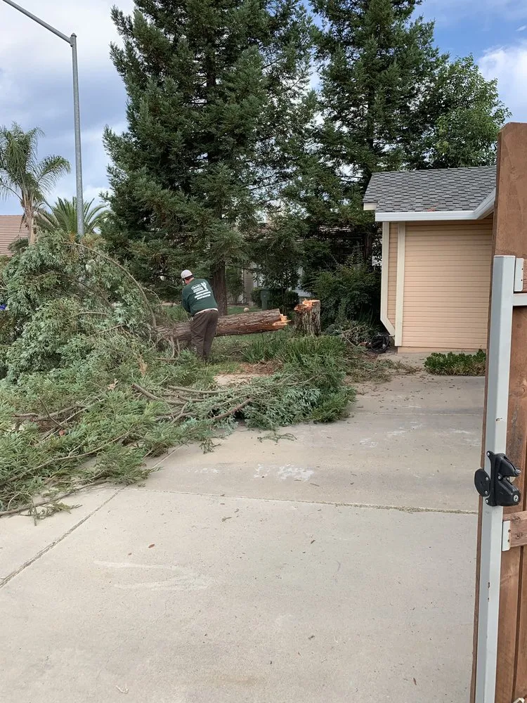 Top-rated residential landscaping for beautiful yards in Turlock, CA by R & D Landscaping