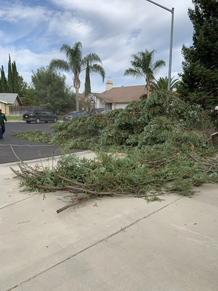 Professional lawn mowing service experts serving Turlock, CA - R & D Landscaping