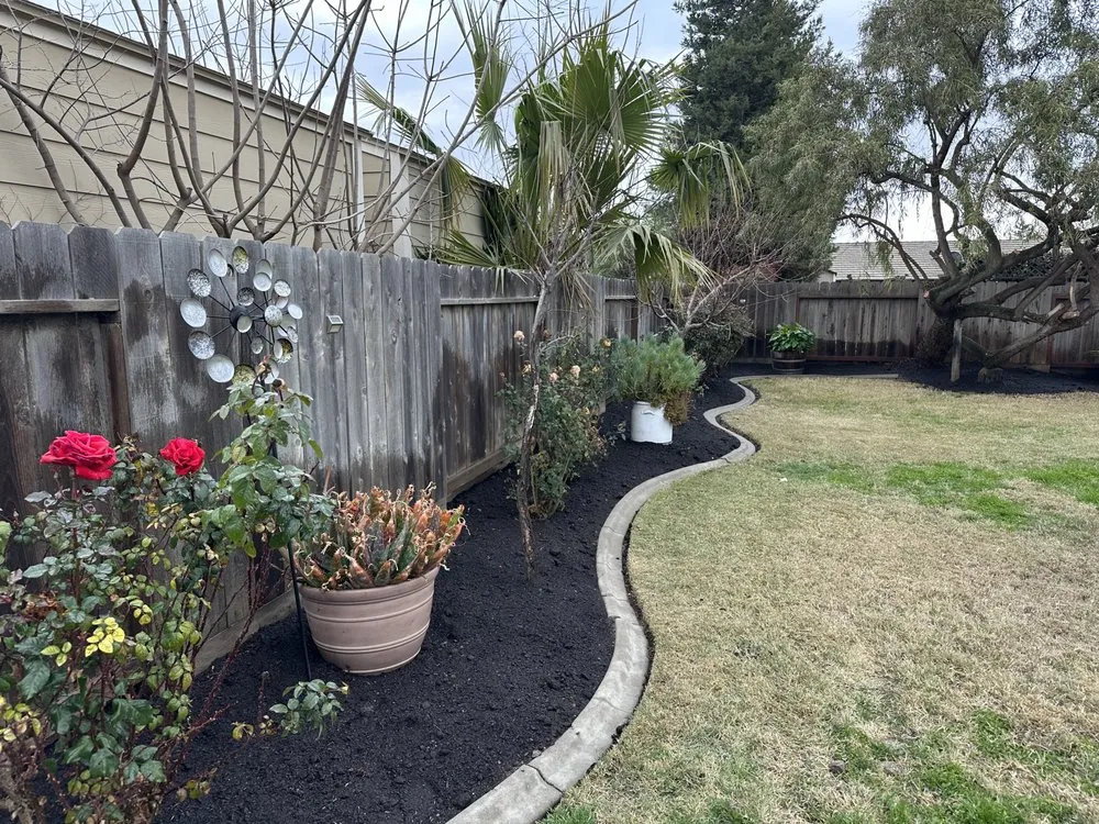 Top-rated yard maintenance for year-round maintenance in Turlock, CA by R & D Landscaping