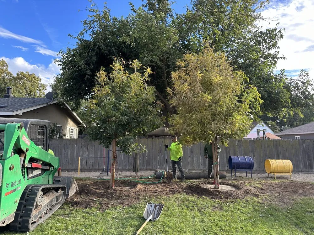 Expert landscape installation in Turlock, CA by R & D Landscaping