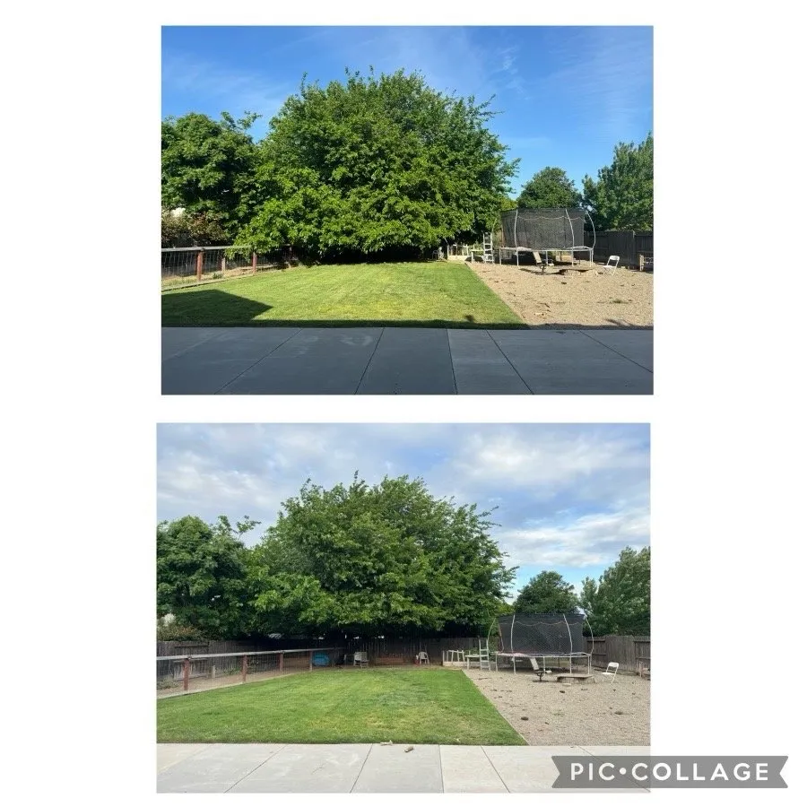 Trusted yard maintenance for outdoor upgrades in Turlock, CA by R & D Landscaping