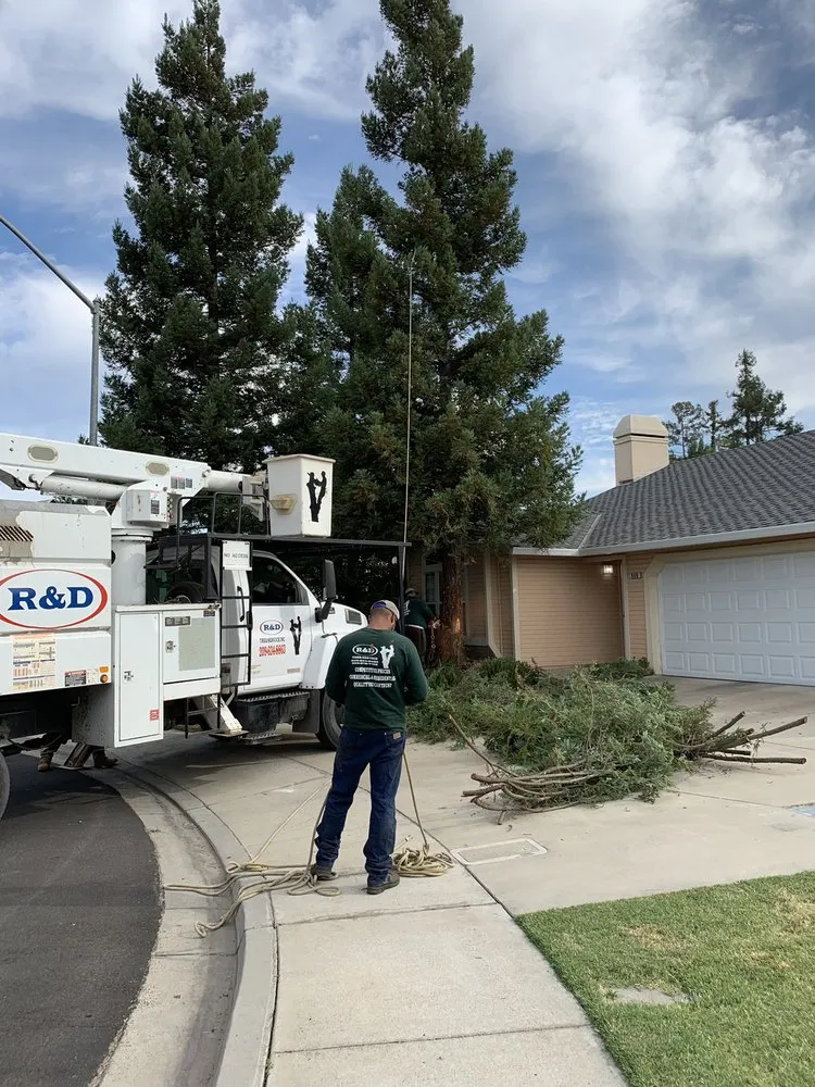 Custom landscape installation in Turlock, CA by R & D Landscaping