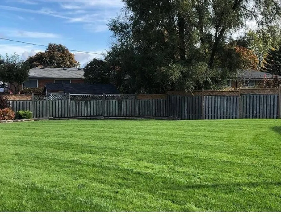 Top-rated landscape design for outdoor upgrades in Livonia, MI by R & D Lawn Service