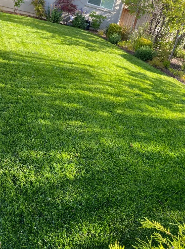 Reliable landscape installation in Livonia, MI - R & D Lawn Service