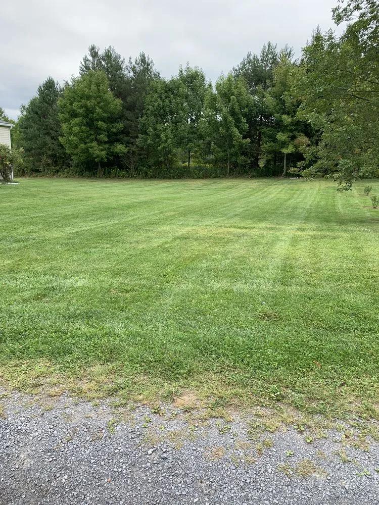 Affordable lawn care service experts serving Oswego, NY - R & D Property Maintenance