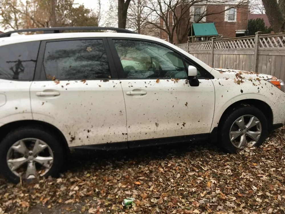 Custom lawn care service for homes in Skokie, IL by R & G Almanza Landscape