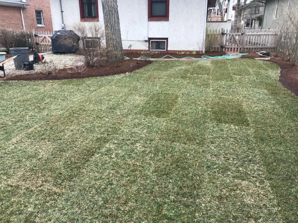 Custom yard cleanup service in Skokie, IL by R & G Almanza Landscape