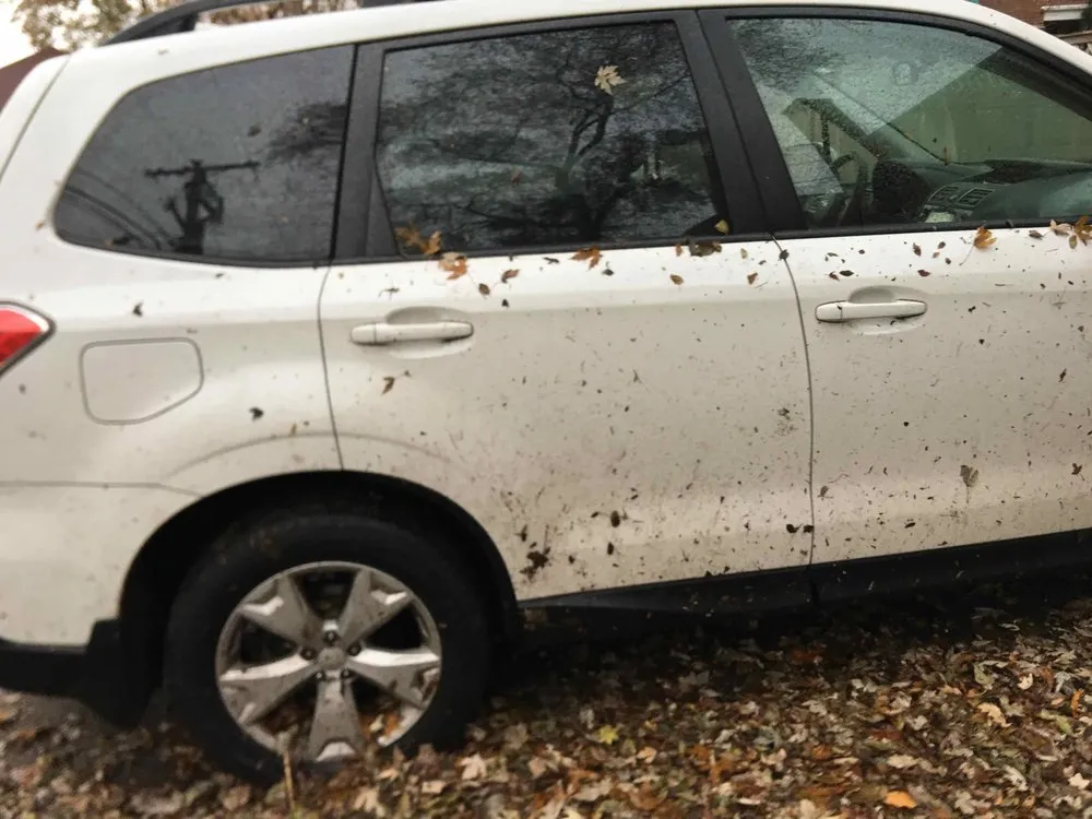 Affordable landscaping services for outdoor upgrades in Skokie, IL by R & G Almanza Landscape