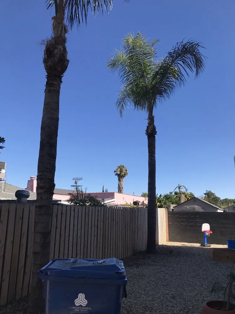 Reliable residential landscaping experts serving Los Angeles, CA - R & G Gardening Services & Landscaping