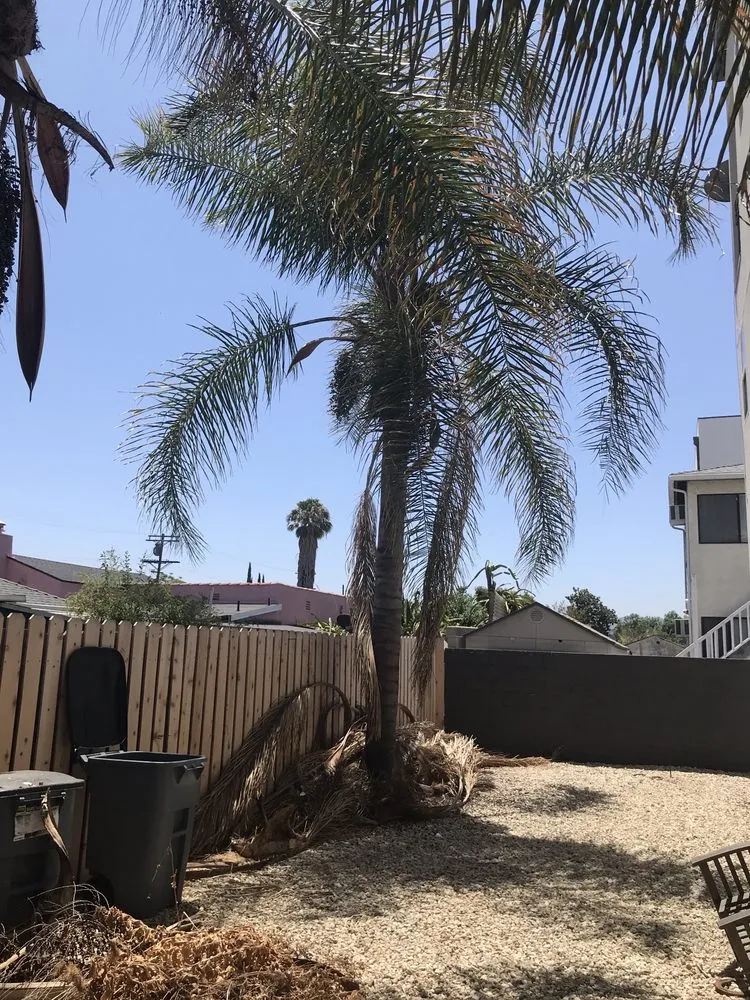 Professional landscape installation for beautiful yards across Los Angeles, CA - R & G Gardening Services & Landscaping