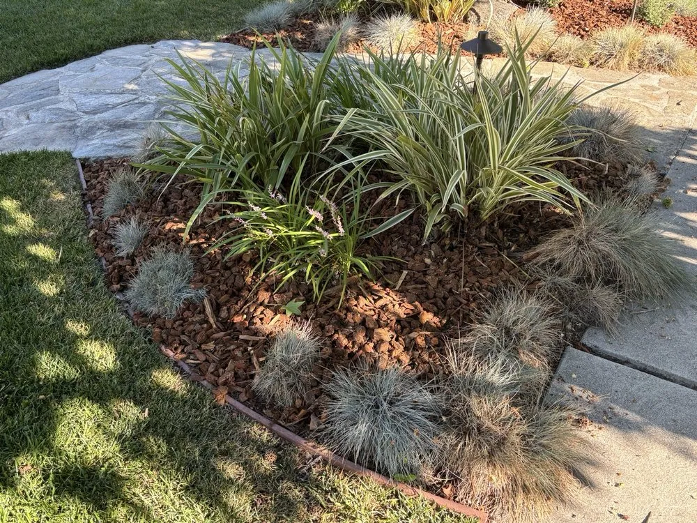 Expert garden landscaping in Los Angeles, CA by R & G Gardening Services & Landscaping