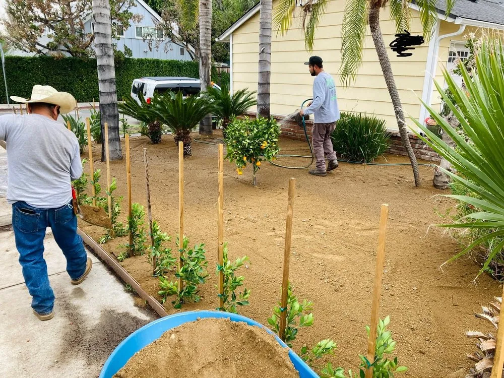 Trusted yard maintenance in Los Angeles, CA by R & G Gardening Services & Landscaping