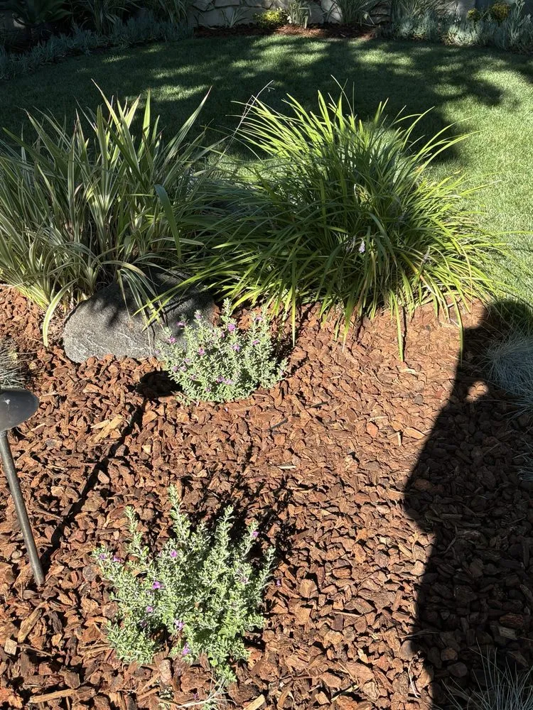 Expert lawn care service experts serving Los Angeles, CA - R & G Gardening Services & Landscaping