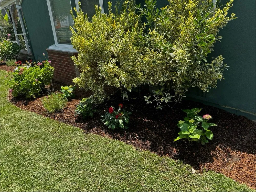 Reliable lawn mowing service with custom design across Los Angeles, CA - R & G Gardening Services & Landscaping