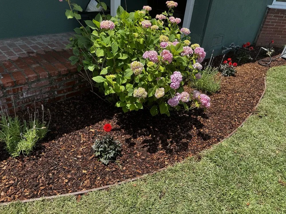 Expert lawn mowing service in Los Angeles, CA by R & G Gardening Services & Landscaping