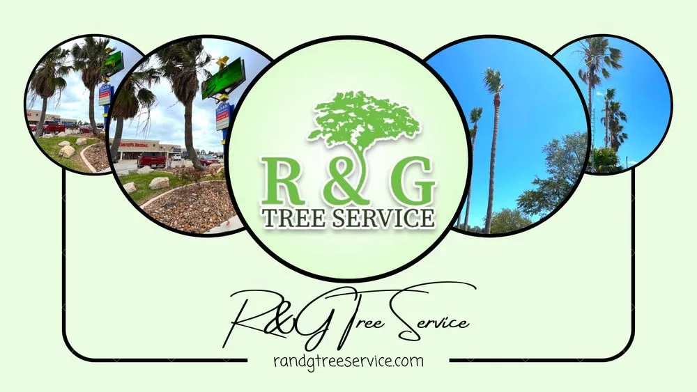 Trusted landscape installation experts serving Corpus Christi, TX - R & G Tree Service
