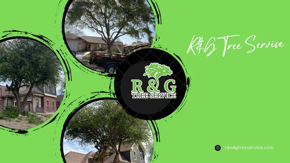 Reliable yard maintenance in Corpus Christi, TX by R & G Tree Service