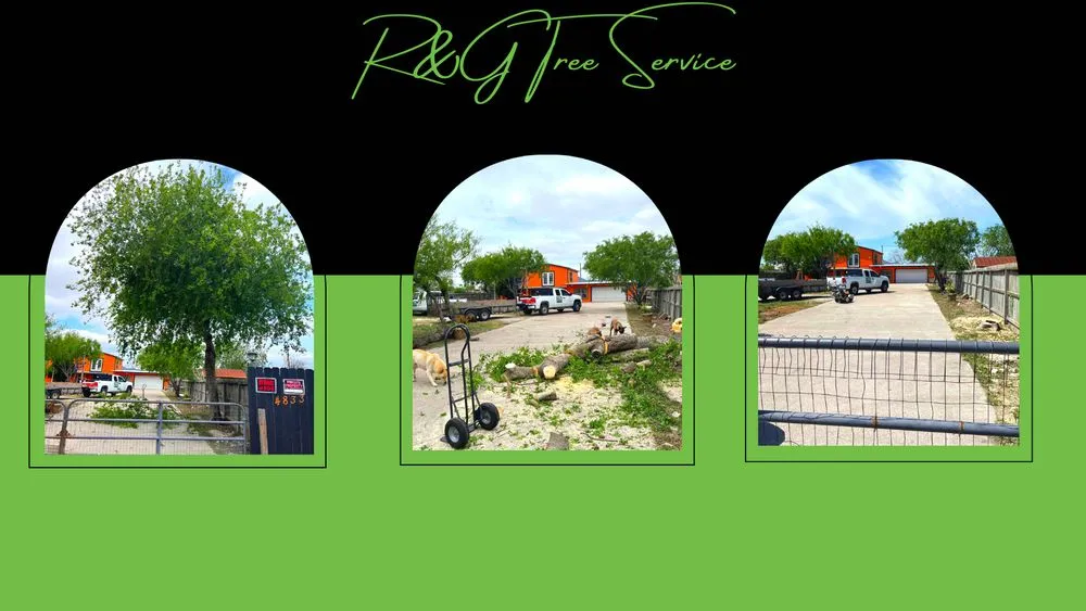 Custom landscape installation experts serving Corpus Christi, TX - R & G Tree Service