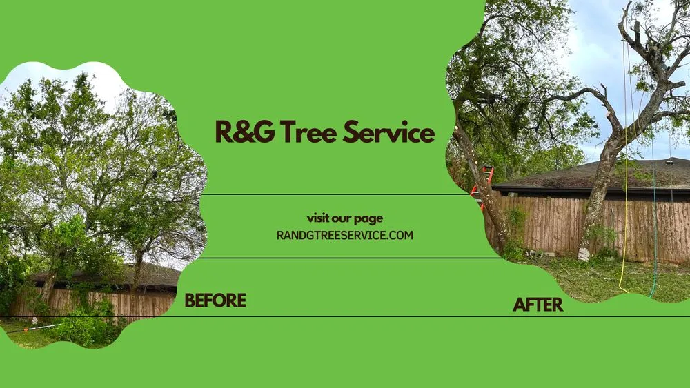 Local outdoor landscaping for outdoor upgrades in Corpus Christi, TX by R & G Tree Service