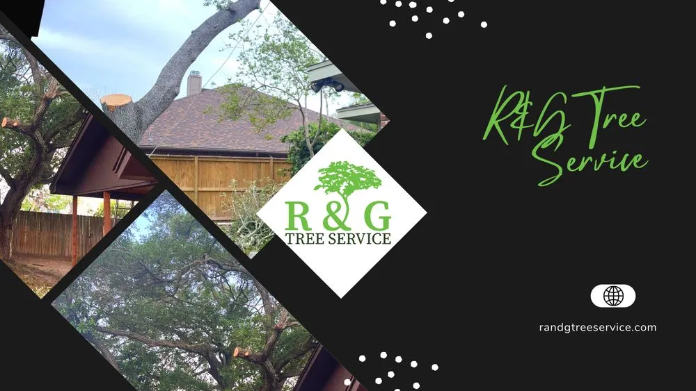 Custom residential landscaping for outdoor upgrades in Corpus Christi, TX by R & G Tree Service