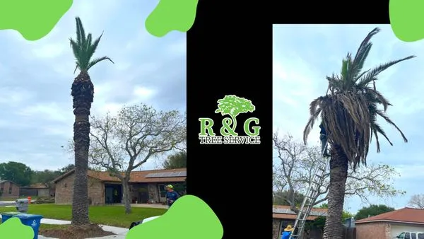 R & G Tree Service Logo