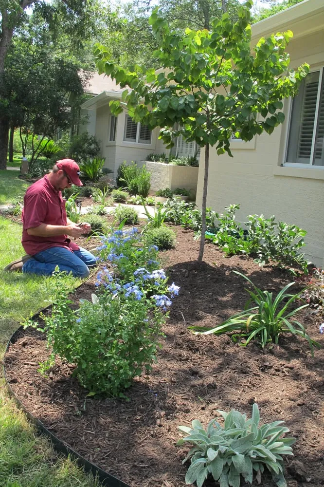 Custom lawn mowing service in San Antonio, TX - R & H Land Designs