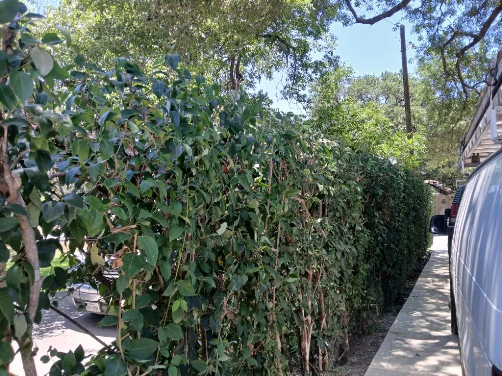 Top-rated residential landscaping near you across San Antonio, TX - R & H Lawncare